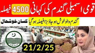 گندم کی امدادی قیمت فائنل اعلان!! wheat support price in punjab pakistan 2025 قومی اسمبلی گندم   خبر