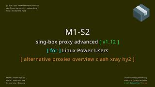 singbox proxy advanced M1 S2 - alternative proxies overview clash xray hy2