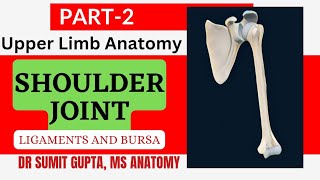 SHOULDER JOINT : Ligaments and Bursa