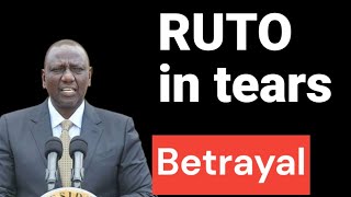 Why Mt. Kenya MPS are leaving Ruto one by one. No hope