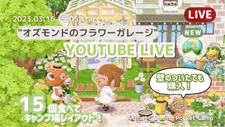 【ポケ森 LIVE】オズモンド新クッキーを15個食べて即興キャンプ場レイアウト！/壁のついたて購入/キャンプ場レイアウト紹介