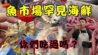 【魚市場稀有海鮮尋寶】您吃過沒？黎明蟹｜魔鬼魚乾｜海蟶子｜羊頭｜土丁凍｜套豬大腸｜紅條魚｜石橄欖，你們這些食材叫什麼名稱呢？｜菜市場｜街市