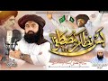 Saleem Raza Qadri Rizvi | Bus Nizame Mustafa | Pakistan Bachao March | New TLP Tarana 2023