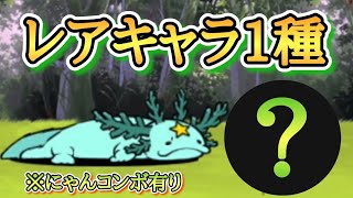 【にゃんこ大戦争】新初見殺しステージのぶつけゴマ丘陵がまさかのレアキャラ1種で初日崩壊！？