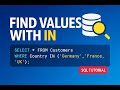 SQL IN Operator Explained | Filter Multiple Values with One Query