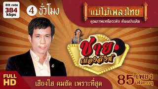 ชาย เมืองสิงห์ 85 เพลง ฟังยาวๆ 4 ช.ม.  #ฟังเพลงเก่าเพราะๆ #แม่ไม้เพลงไทย