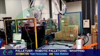 Complete Automated Packaging Machine Solution - Food Industry