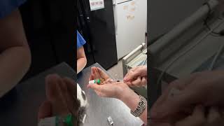 Drawing up a vaccine