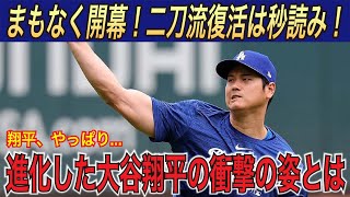 大谷翔平 LA山火事被災者支援に50万ドル寄付 消防士と動物たちへの感動の言葉