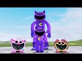 EVOLUTION OF CATNAP NEW CATNAP SMILING CRITTERS POPPY PLAYTIME CHAPTER 3 In Garry's mod #386