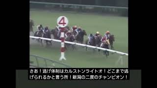 日本最速の韋駄天、カルストンライトオ04年スプリンターズステークス#jra #アイビスsd #アイビスサマーダッシュ #スプリンターズステークス #スプリンターズs #中山競馬場 #新潟競馬場 #競馬