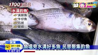 20160821中天新聞　水溝有魚可以釣　釣客：運氣好還有龍蝦