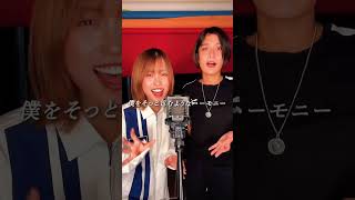 【TikTok】話題のCMソング『今夜はブギーバック』をハモってみた🥰