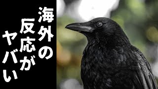 【ゆっくり解説】日本のカラスが天才すぎると海外で話題に…