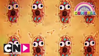 Bacteriën | De Wonderlijke Wereld van Gumball | Cartoon Network