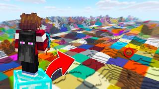 Minecraft, But EVERY CHUNK is Random..