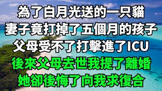 為了白月光送的一只貓，妻子竟打掉了五個月的孩子，父母受不了打擊進了ICU，後來父母去世我提了離婚，她卻後悔了向我求復合【故事簍子】#落日溫情#情感故事#花開富貴#深夜淺讀#家庭矛盾#爽文