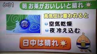 140519あきこのお天気  お茶と天気の関係