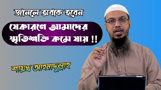 স্মৃতিশক্তি কমে যাওয়ার কারণ কি? | Ahmadullah | Islamic Kotha