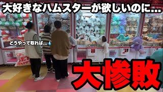 【403人目】クレーンゲームで大好きなハムスターのぬいぐるみを諦めた女の子...サプライズでプレゼントしてみた！