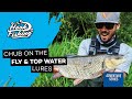 Fishing for Chub with Robbie Northman: Fly Fishing and Surface Lures