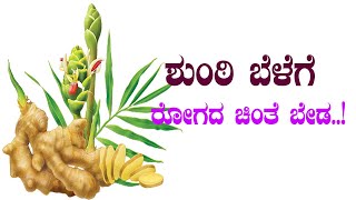 ಶುಂಠಿ ಬೆಳೆಯ ರೋಗಗಳಿಗೆ ರಾಮಬಾಣ..! Rambana for ginger crop diseases.