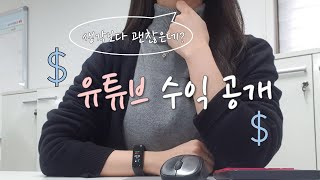 중소기업/외국계 회사 직장인 유튜브 수익 공개 I 구독자 5000명 I 나의 유튜브 성장기 2