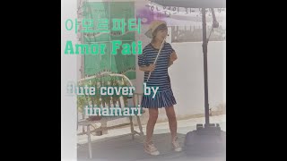 아모르파티 Amor Fati - Flute cover by Tinamari