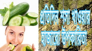 প্রতিদিন শসা খাওয়ার হাজারো উপকারিতা Thousands of benefits of eating cucumber every day