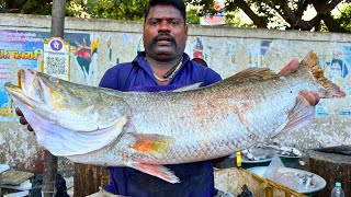 KASIMEDU 🔥 SPEED SELVAM | 12 KG GOLD KODUVA FISH CUTTING VIDEO | IN KASIMEDU | FF CUTTING 🔪