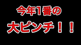 【ドラブラ】今年最大の大ピンチ！訓練競技【龙族幻想】【d blood】