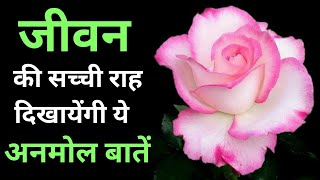 जीवन की सच्ची राह दिखायेंगी ये अनमोल बातें | अकेलेपन को दूर कर देंगी ये बातें Life Channing Quotes