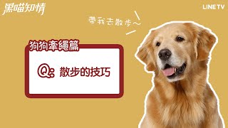 【黑喵知情】寵物行為小知識：狗狗牽繩篇，散步的技巧！ | LINE TV 共享追劇生活