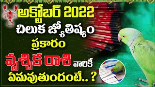 చిలుక జ్యోష్యం | CHILUKA JYOSHYAM VRUSCHIKA RASI 2022 | OCTOBER VRUSCHIKA RASI | Parrot Astrology