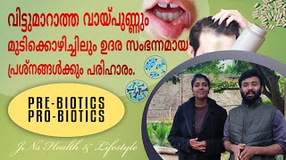 എന്താണ് പ്രിബായോട്ടിക്‌ പ്രൊബായോട്ടിക്‌ |probiotics and prebiotics in malayalam