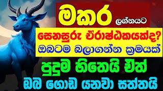 මකර ලග්න හිමියනි ඒරාෂ්ඨක ජයගෙන 2025 ගොඩ යන හරිම පාර Makara Lagnaya Senasuru Erashtaka Lagna Palapala