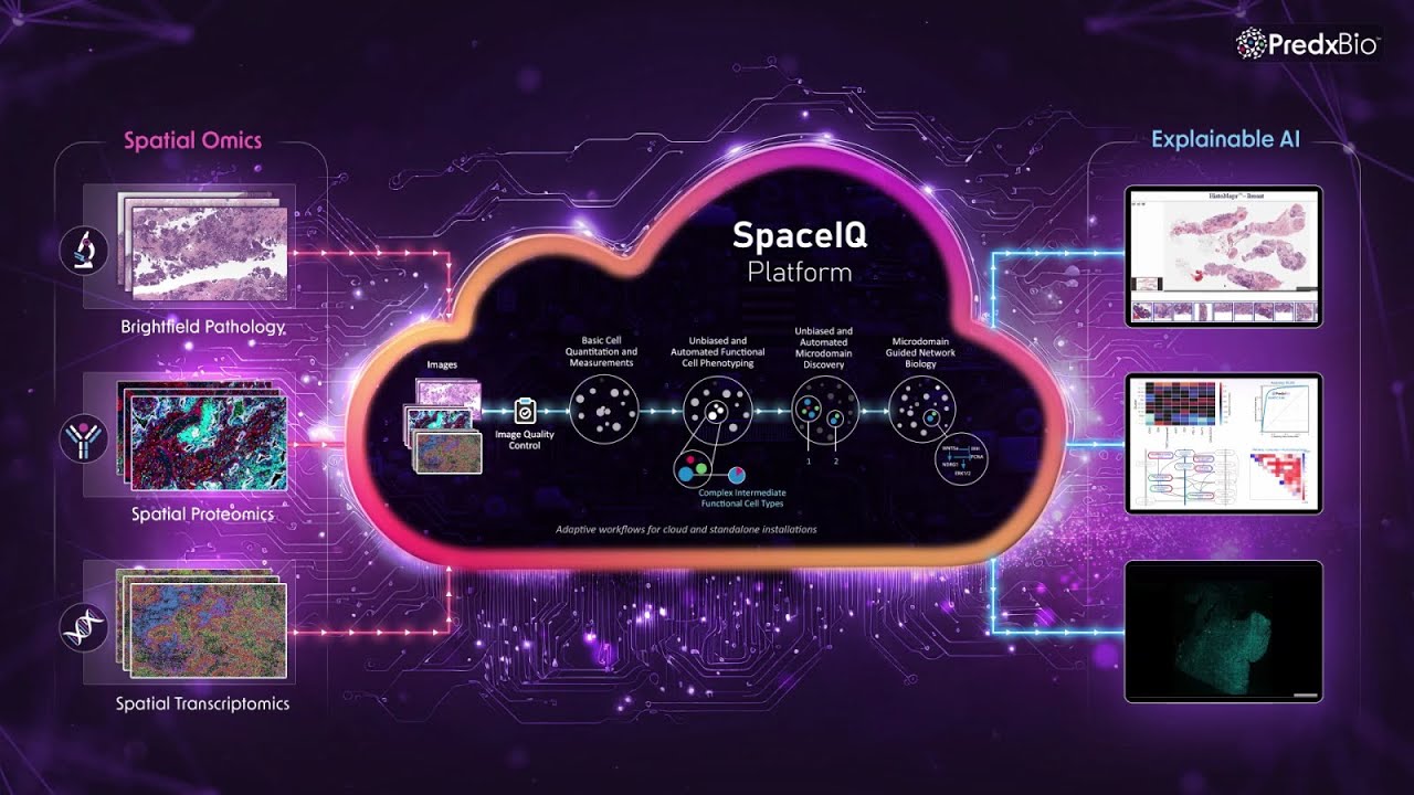 Spatially Intelligent Spaceiq Platform Spatial Multi Omics Powered By
