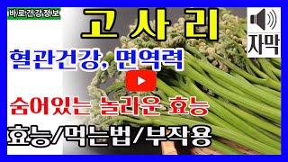 🌿고사리 효능 10가지🌿고사리먹는법/ 고사리부작용//// 고사리 완벽정리