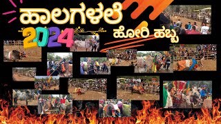 ಹಾಲಗಳಲೆ ಹೋರಿ ಹಬ್ಬ 2024|| Halagalale Hori Habba|| Top Habba#jallikattu #bull #horihabbathebullrace