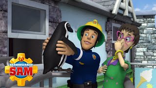 Brandweerman Sam | Brandweerman Sam redt de pinguïn! | Nieuwe Afleveringen | Kinderfilms