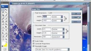 How to Check Image Size \u0026 Resolution