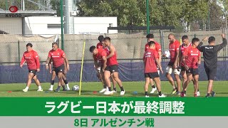 ラグビー日本が最終調整 8日、アルゼンチン戦