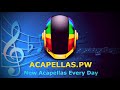 Post Malone – White Iverson (Studio Acapella) + DL Link