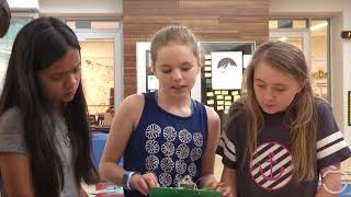 2017 McBride Elementary: The Productive Struggle