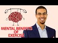 5 Mental Benefits of Regular Exercise - Mohammed Faris | Productive Muslim