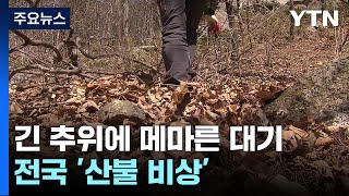 [날씨] 긴 추위에 바짝 메마른 대기...전국 곳곳 '산불 비상' / YTN