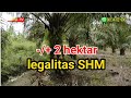 review kebun sawit 2 hektar legalitas SHM