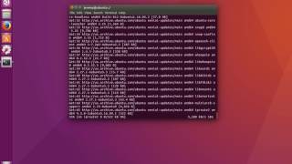 Linux Basics: How to update Linux software and operating system (apt-get)