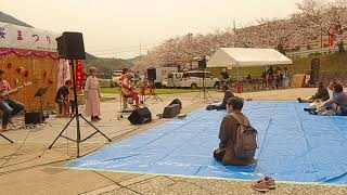 瀬野川芝桜祭り2024