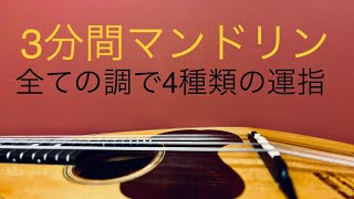 3分で分かるマンドリンの弾き方 40 全ての調を全ての運指で練習